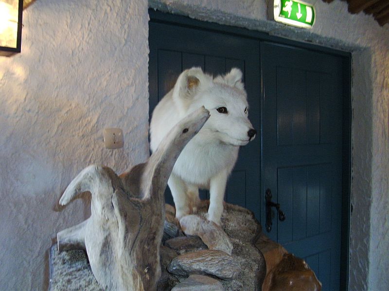 Nordkap 2009 218.jpg